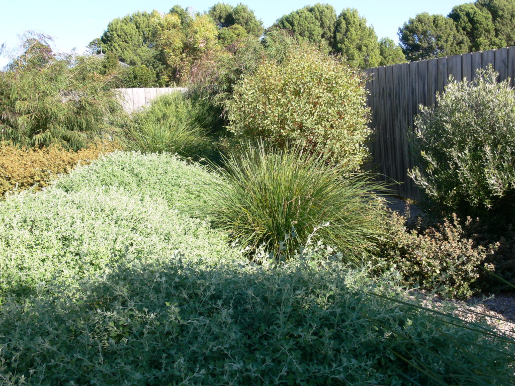 Garden design by Timandra: sustainable landscape experts established ...