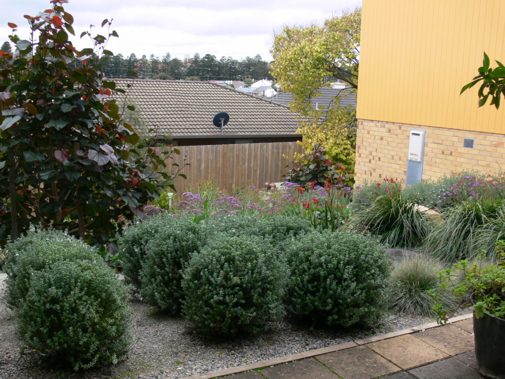 Garden design by Timandra: sustainable landscape experts established ...
